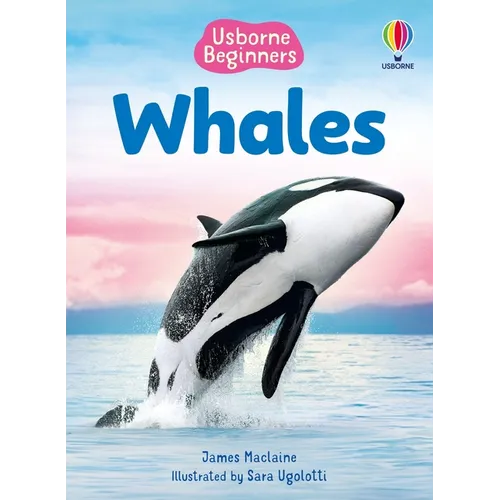 Beginners Whales - Paperback