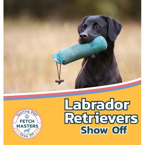 Labrador Retrievers Show Off - Hardcover