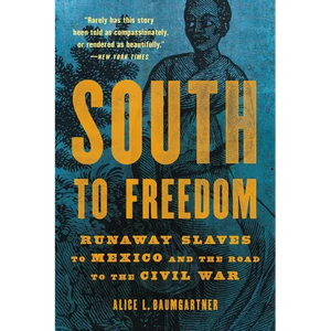 South to Freedom: Runaway Slaves to Mexico and the Road to the Civil War - Paperback