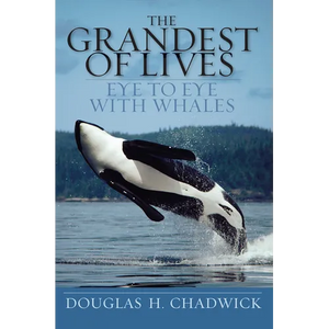The Grandest of Lives: Eye to Eye with Whales - Paperback