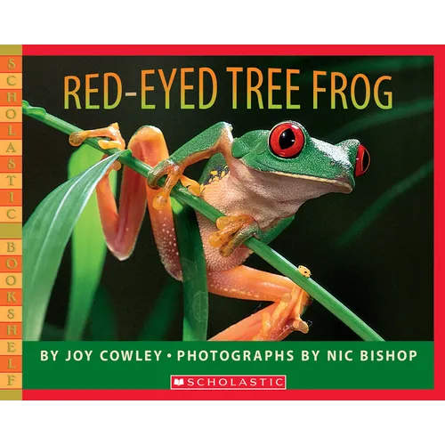 Red-Eyed Tree Frog - Paperback