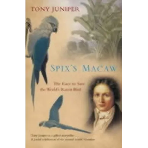 Spix's Macaw: The Race to Save the World's Rarest Bird - Paperback