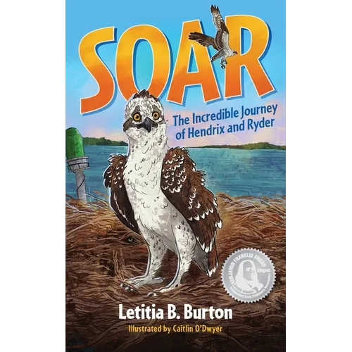 Soar: The Incredible Journey of Hendrix and Ryder - Paperback