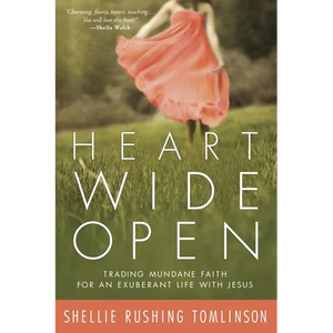 Heart Wide Open: Trading Mundane Faith for an Exuberant Life with Jesus - Paperback