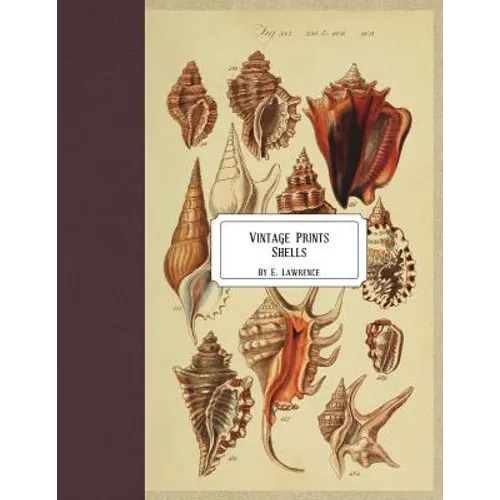 Vintage Prints: Shells - Paperback