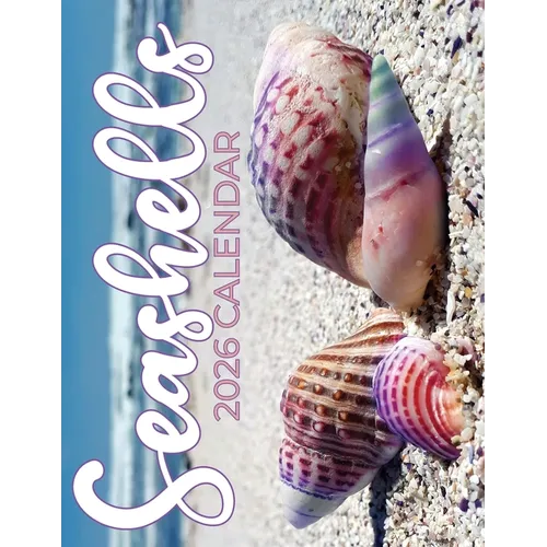 Seashells 2026 Calendar - Paperback