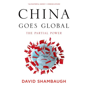 China Goes Global: The Partial Power - Paperback