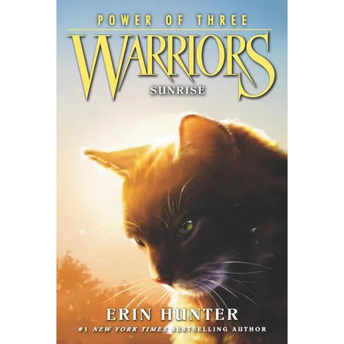 Warriors: Power of Three #6: Sunrise - Paperback
