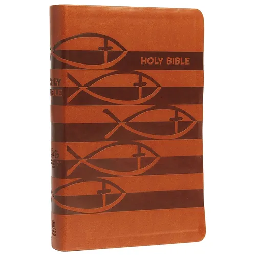 Icb, Holy Bible, Leathersoft, Brown: International Children's Bible - Imitation Leather