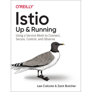 Istio: Up and Running: Using a Service Mesh to Connect, Secure, Control, and Observe - Paperback