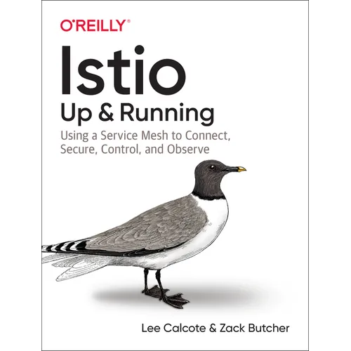 Istio: Up and Running: Using a Service Mesh to Connect, Secure, Control, and Observe - Paperback