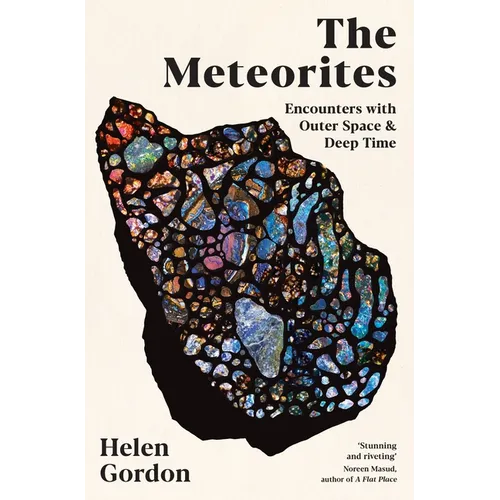 The Meteorites: Encounters with Outer Space and Deep Time - Paperback