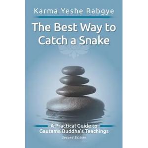 The Best Way to Catch a Snake: A Practical Guide To Gautama Buddha's Teachings - Paperback