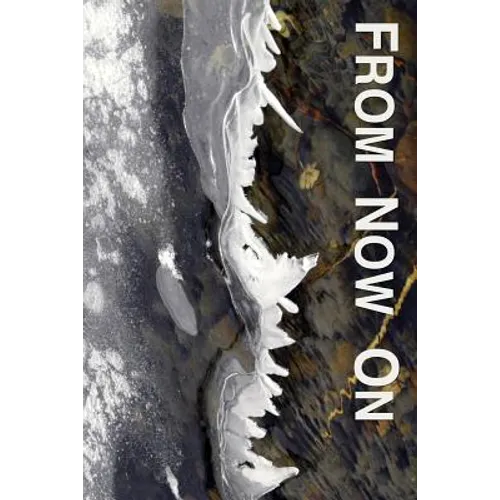 From Now On: Easing and Transforming Lives Interrupted by Illness or Injury: an Introduction to the Philosophy, Practices, and Proc - Paperback