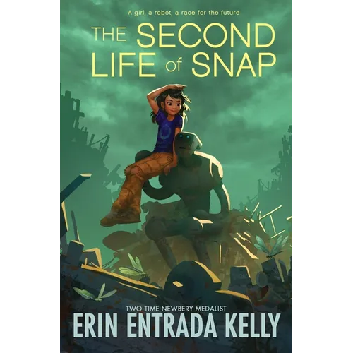 The Second Life of Snap - Hardcover