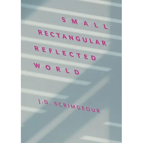 Small, Rectangular, Reflected World - Paperback