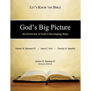 God's Big Picture: An Overview of God's Developing Story - Paperback