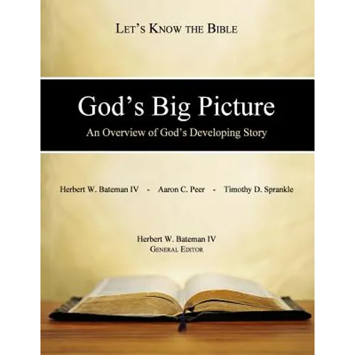 God's Big Picture: An Overview of God's Developing Story - Paperback