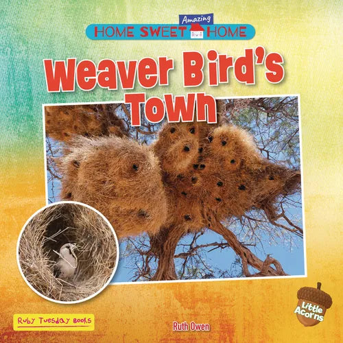Weaver Bird's Town - Library Binding
