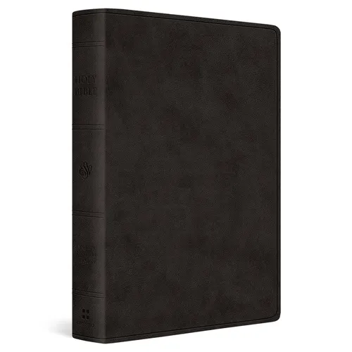 ESV Giant Print Value Personal Size Bible (Trutone, Black) - Imitation Leather