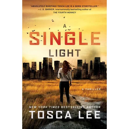 A Single Light - Paperback