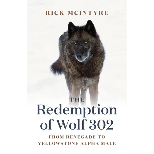 The Redemption of Wolf 302: From Renegade to Yellowstone Alpha Male - Paperback