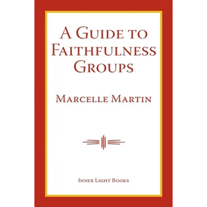 A Guide To Faithfulness Groups - Paperback