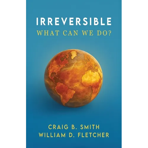 Irreversible: What Can We Do? - Paperback