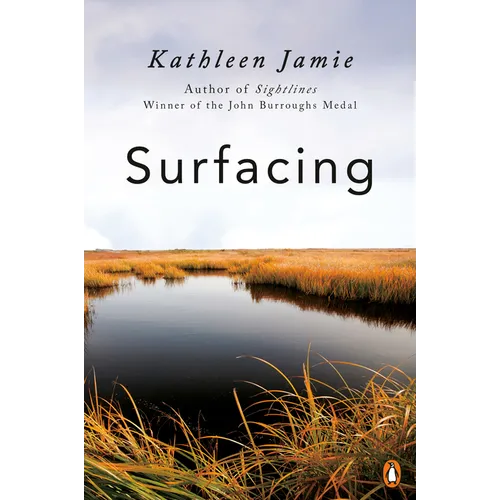 Surfacing - Paperback