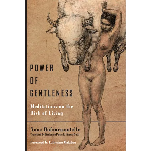Power of Gentleness: Meditations on the Risk of Living - Paperback