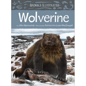 Animals Illustrated: Wolverine - Hardcover