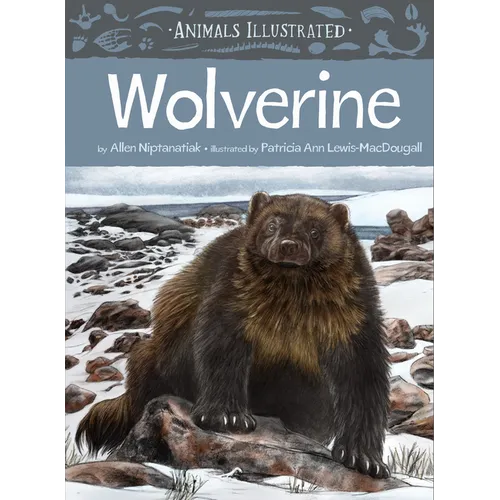 Animals Illustrated: Wolverine - Hardcover