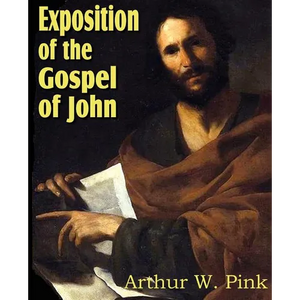 Exposition of the Gospel of John - Paperback