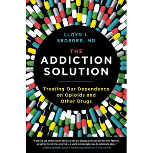 The Addiction Solution - Paperback
