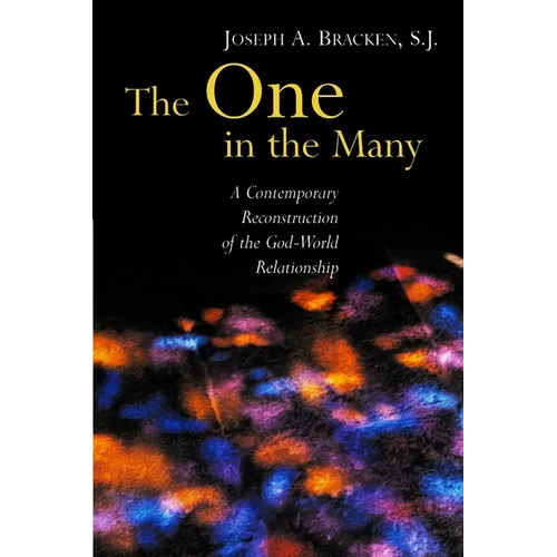 The One in the Many: A Contemporary Reconstruction of the God-World Relationship - Paperback