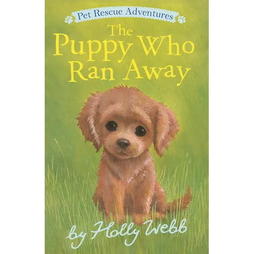 The Puppy Who Ran Away - Paperback