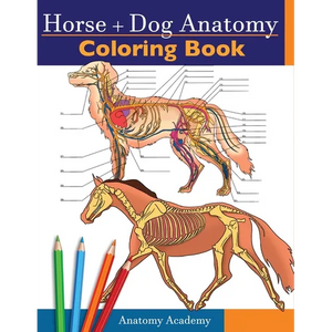 Horse + Dog Anatomy Coloring Book: 2-in-1 Compilation Incredibly Detailed Self-Test Equine & Canine Anatomy Color workbook Perfect Gift for Veterinary - Paperback