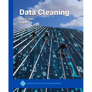 Data Cleaning - Paperback