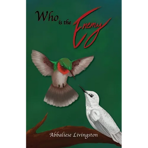 Who is the Enemy - Paperback