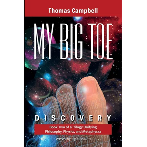 My Big TOE - Discovery S: Book 2 of a Trilogy Unifying Philosophy, Physics, and Metaphysics - Paperback