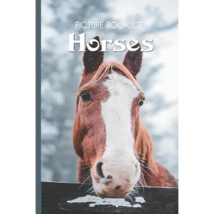 Picture Book Of Horses: Large Print Book For Seniors with Dementia or Alzheimer's - Paperback