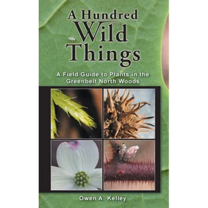 A Hundred Wild Things: A Field Guide to Plants in the Greenbelt North Woods - Paperback