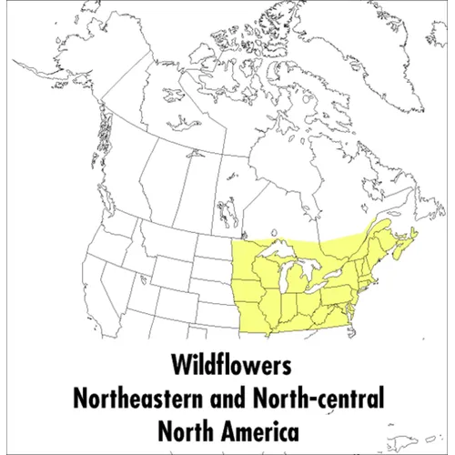A Peterson Field Guide to Wildflowers: Northeastern and North-Central North America - Paperback