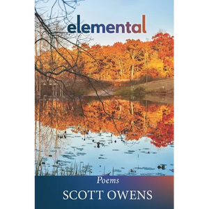 Elemental: Poems - Paperback