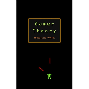 Gamer Theory - Hardcover