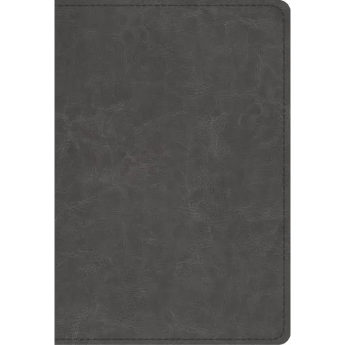 Student Study Bible-ESV - Imitation Leather