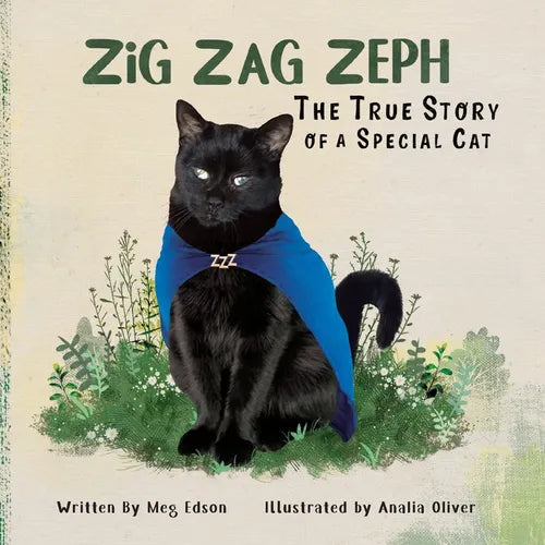 Zig Zag Zeph - Paperback