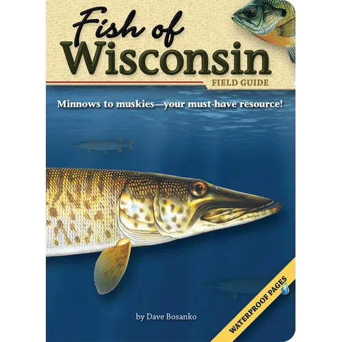 Fish of Wisconsin Field Guide - Paperback