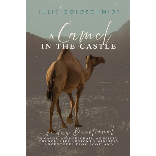 A Camel in the Castle - Paperback