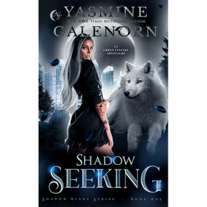 Shadow Seeking: An Urban Fantasy Adventure - Paperback